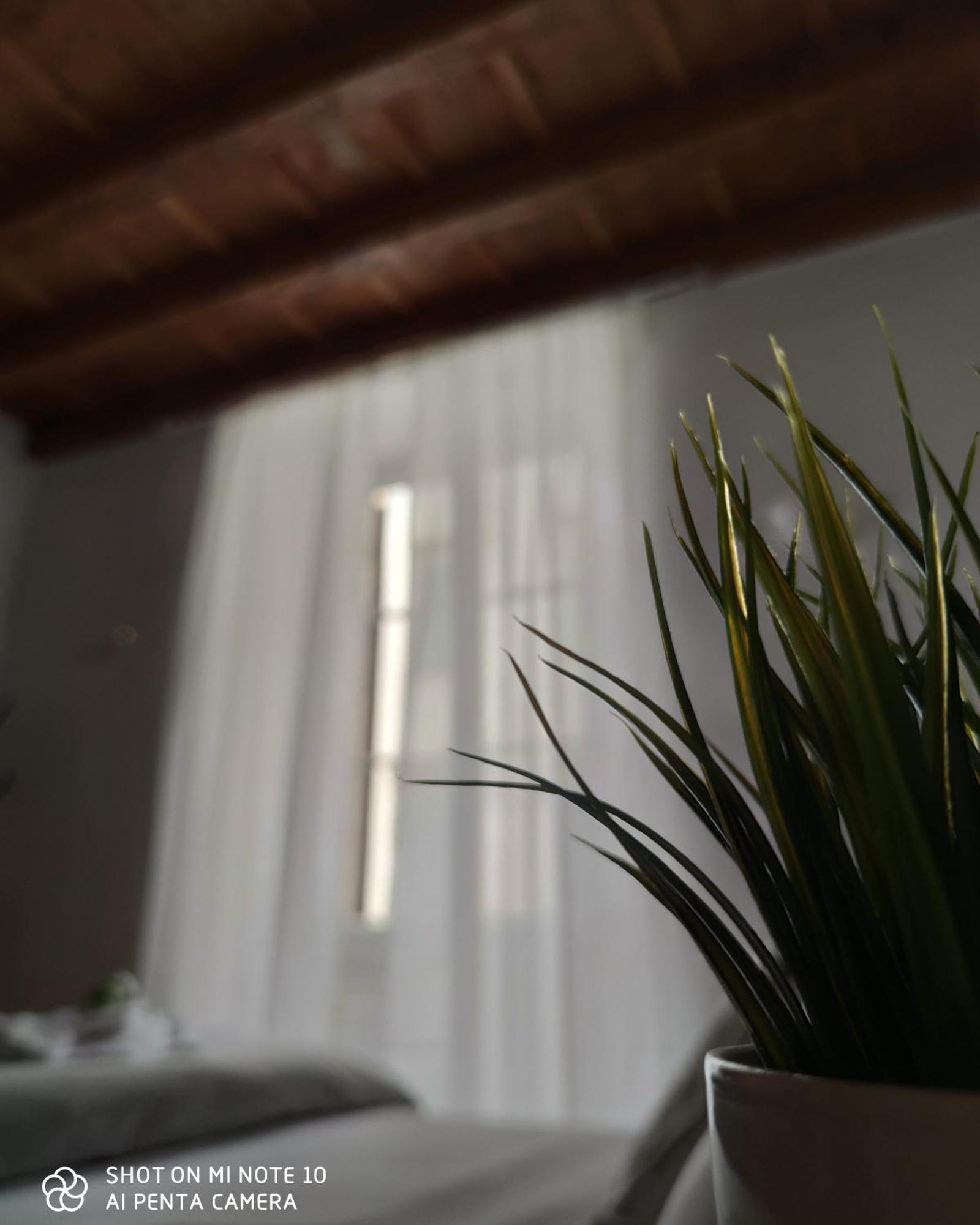 Dante'S Relais Hotell Florens Rum bild
